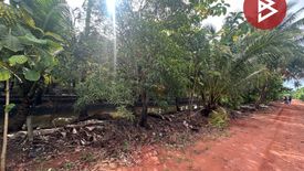 Land for sale in Don Phi, Ratchaburi