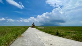 Land for sale in Castillo, Tarlac