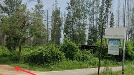 Land for sale in Puek Tian, Phetchaburi