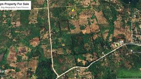 Land for sale in Barangay Ng Mga Mangingisda, Palawan