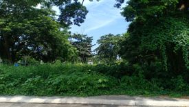 Land for sale in Laiya-Ibabao, Batangas