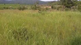 Land for sale in San Nicolas, Palawan