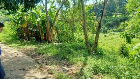 Land for sale in San Roque, Rizal