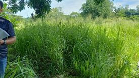 Land for sale in San Roque, Rizal