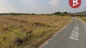 Land for Sale or Rent in Nong Irun, Chonburi