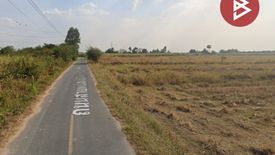 Land for Sale or Rent in Nong Irun, Chonburi