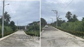 Land for sale in Santo Niño, Davao del Sur