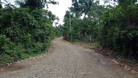 Land for sale in Cabayugan, Palawan