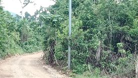 Land for sale in Cabayugan, Palawan