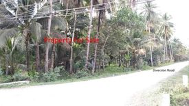 Land for sale in Mabini, Agusan del Norte