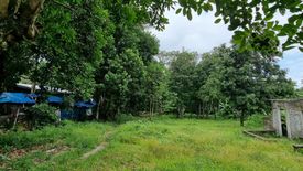 Land for sale in Jawa, Negros Oriental