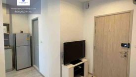 1 Bedroom Condo for rent in Ideo Mobi Sukhumvit Eastgate, Bang Na, Bangkok near BTS Bang Na