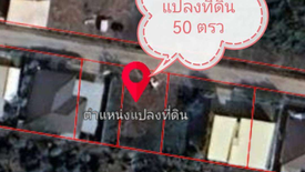 ขายที่ดิน ใน ชมภู, สารภี