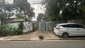 Land for sale in Pinyahan, Metro Manila