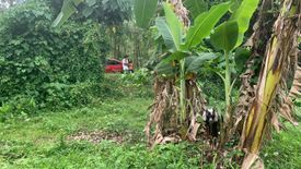 Land for sale in Cantil-E, Negros Oriental