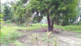 Land for sale in Bugallon Proper, Isabela