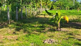 Land for sale in Silab, Negros Oriental