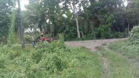 Land for sale in Miraga-Guibuangan, Iloilo