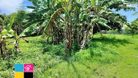 Land for sale in MARYVILLE SUBDIVISION, Talamban, Cebu