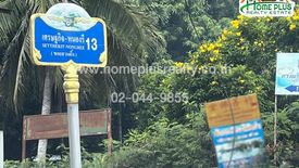 Land for sale in Nong Phai Kaeo, Chonburi