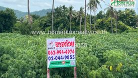 Land for sale in Nong Phai Kaeo, Chonburi