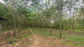 ขายที่ดิน ใน บางสะพาน, บางสะพานน้อย