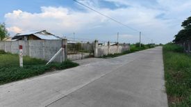 Land for rent in Capehan, Tarlac