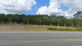 Land for sale in Taphaen, Phatthalung