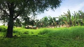 Land for sale in Nangka, Cebu