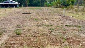 Land for sale in Pa Lao, Phetchabun