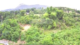 Land for sale in San Isidro, Bohol