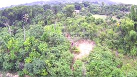 Land for sale in San Isidro, Bohol