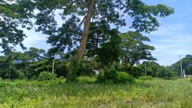 Land for sale in Laiya-Ibabao, Batangas