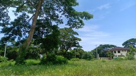 Land for sale in Laiya-Ibabao, Batangas