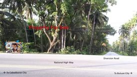 Land for sale in Cabadbaran, Agusan del Norte