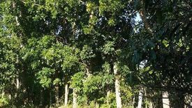 Land for sale in Talaibon, Batangas