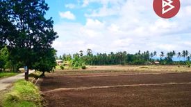 Land for sale in Pa Lao, Phetchabun