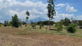 Land for sale in Santo Domingo, Laguna