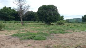 Land for sale in Anupul, Tarlac