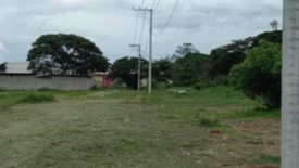 Land for sale in Anupul, Tarlac