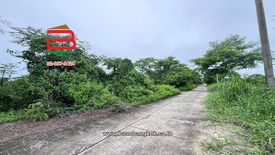 Land for sale in Nong Sam Wang, Pathum Thani