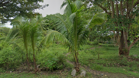 Land for sale in Candaping A, Siquijor