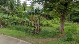 Land for sale in Candaping A, Siquijor