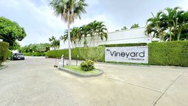 3 Bedroom House for Sale or Rent in The Vineyard Phase 3, 