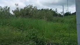 Land for sale in Pulangbato, Cebu