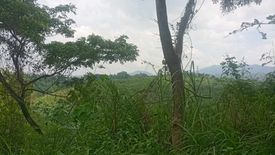 Land for sale in Pulpogan, Cebu