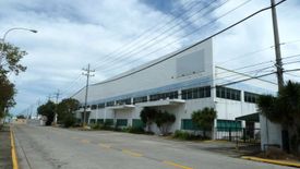 Warehouse / Factory for rent in Mampalasan, Laguna