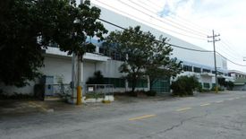 Warehouse / Factory for rent in Mampalasan, Laguna