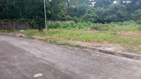 Land for sale in Banaybanay, Laguna