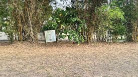 Land for sale in Don Jose, Laguna